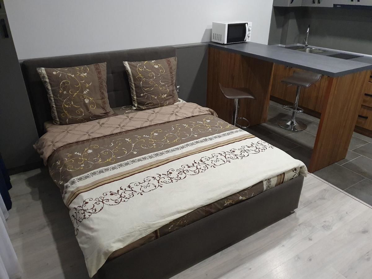 Апартаменты Silver Star Apartment Ужгород