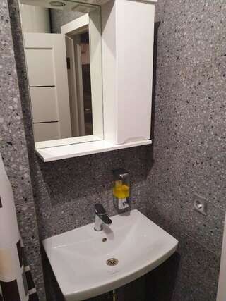 Апартаменты Silver Star Apartment Ужгород Апартаменты Делюкс-23