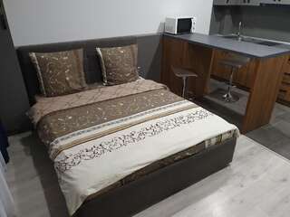Апартаменты Silver Star Apartment Ужгород Апартаменты Делюкс-3