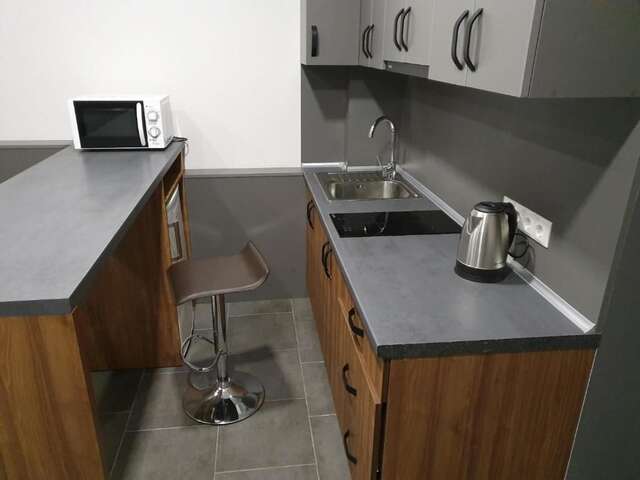 Апартаменты Silver Star Apartment Ужгород-23